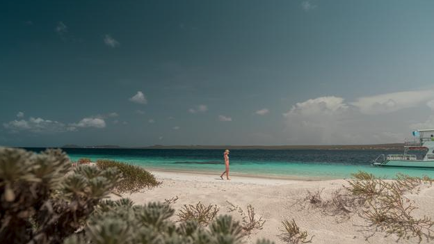 Bonaire, the Next ‘It’ Place in the Caribbean? | TravelPulse